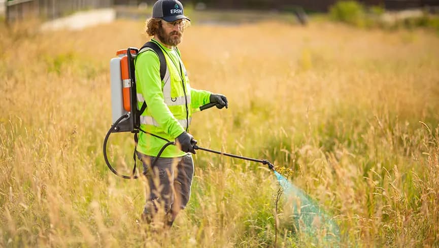 Invasive & Noxious Weed Management