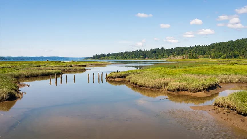 Tribal Governments & Conservation Non-Profits