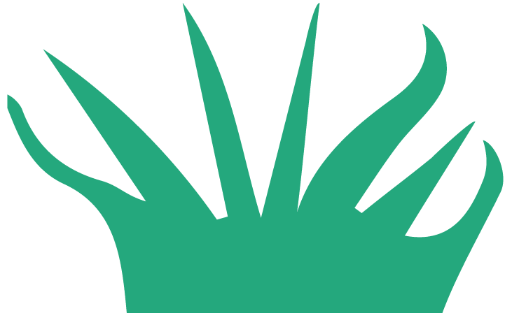 Erosion Control Solutions