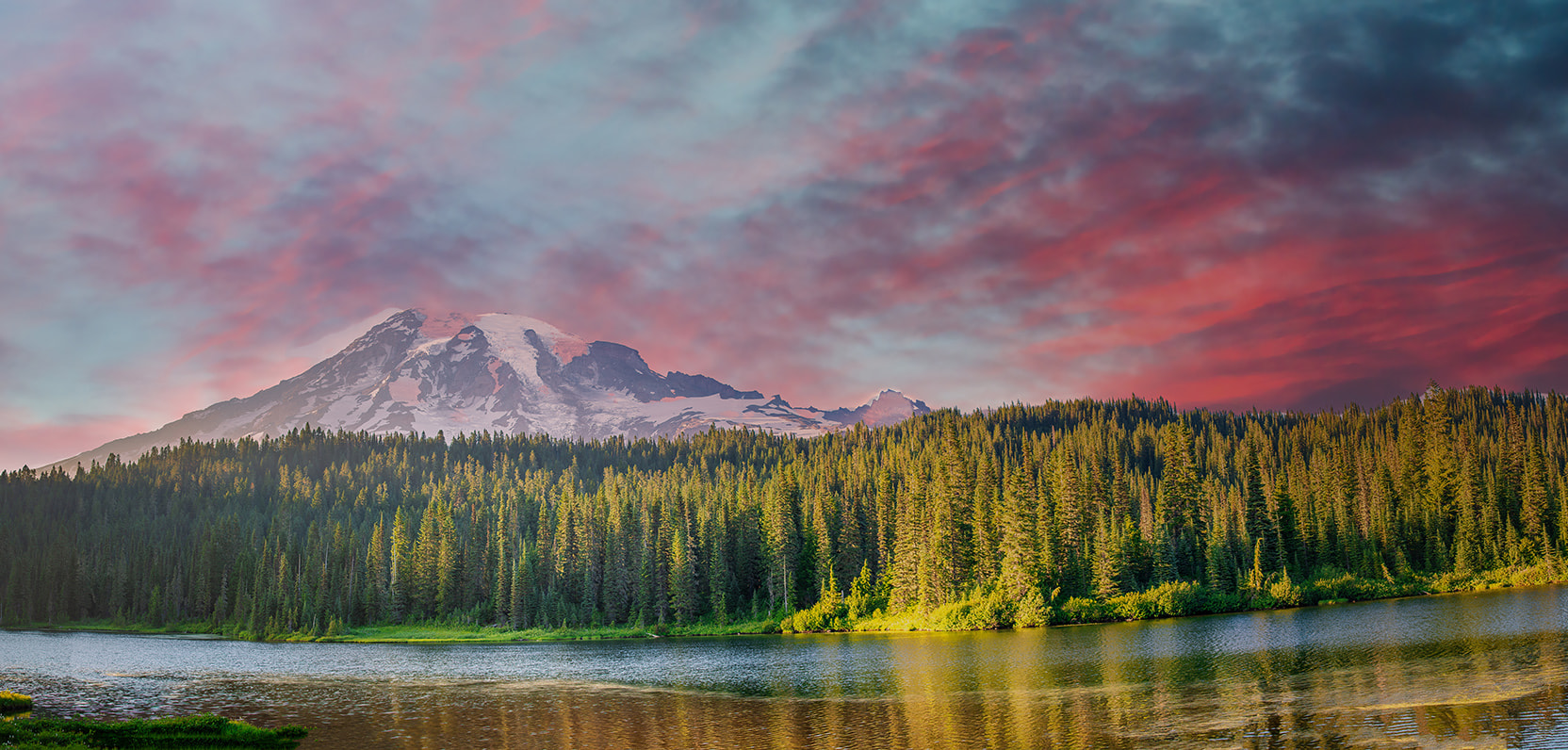 Ecological Restoration & Stormwater Management LLC Team