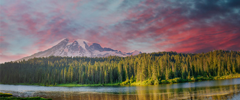 Tribal Governments & Conservation Non-Profits